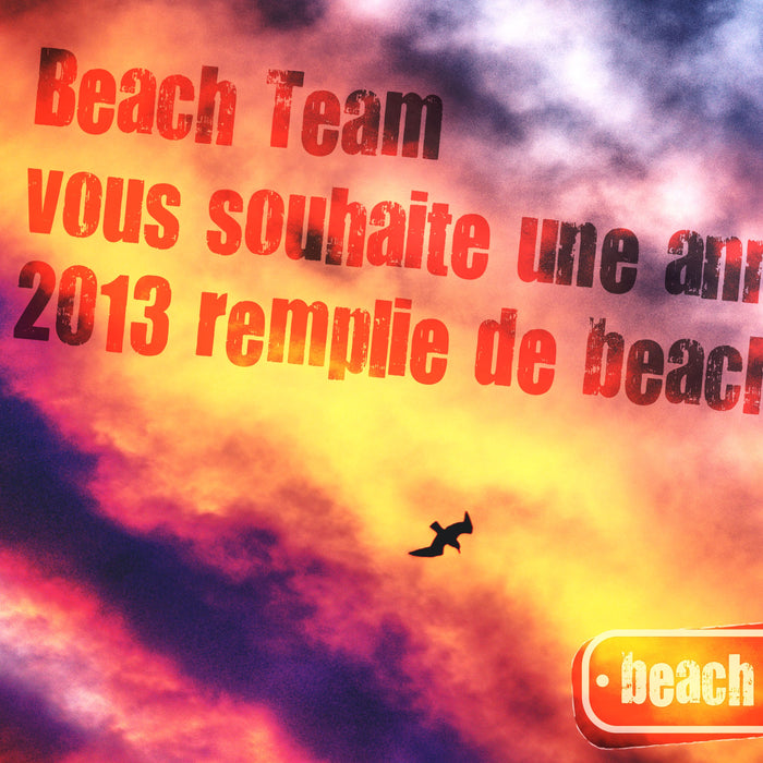 Bonne Année 2013 pleine de Beach Attitude
