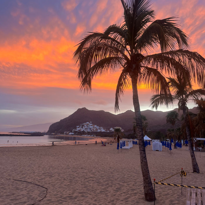 La Beach Attitude, bien plus que du volley...