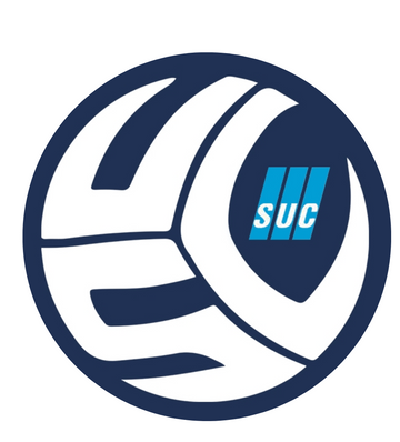 Logo partenaire